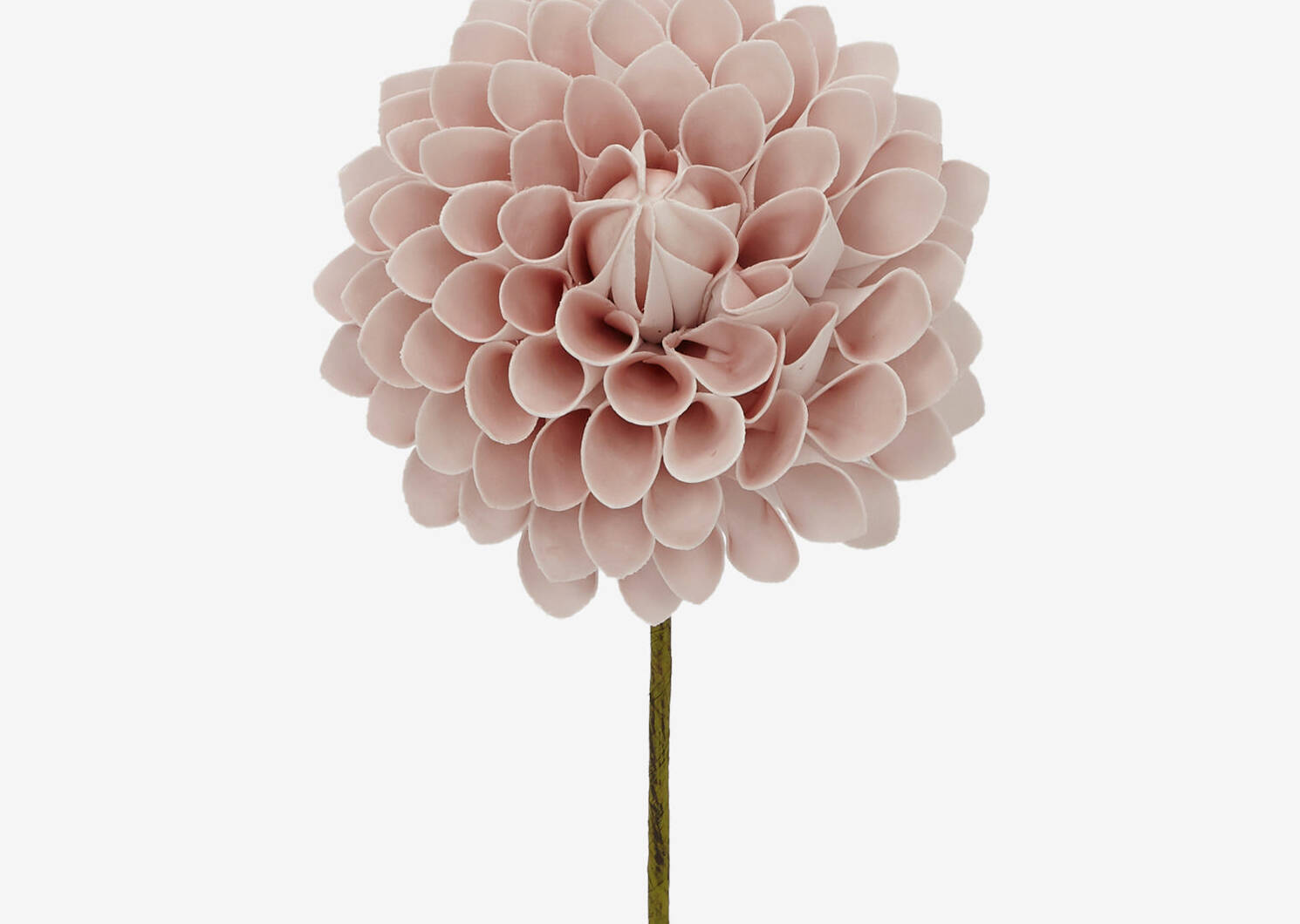 Lynn Dahlia Jumbo Blush