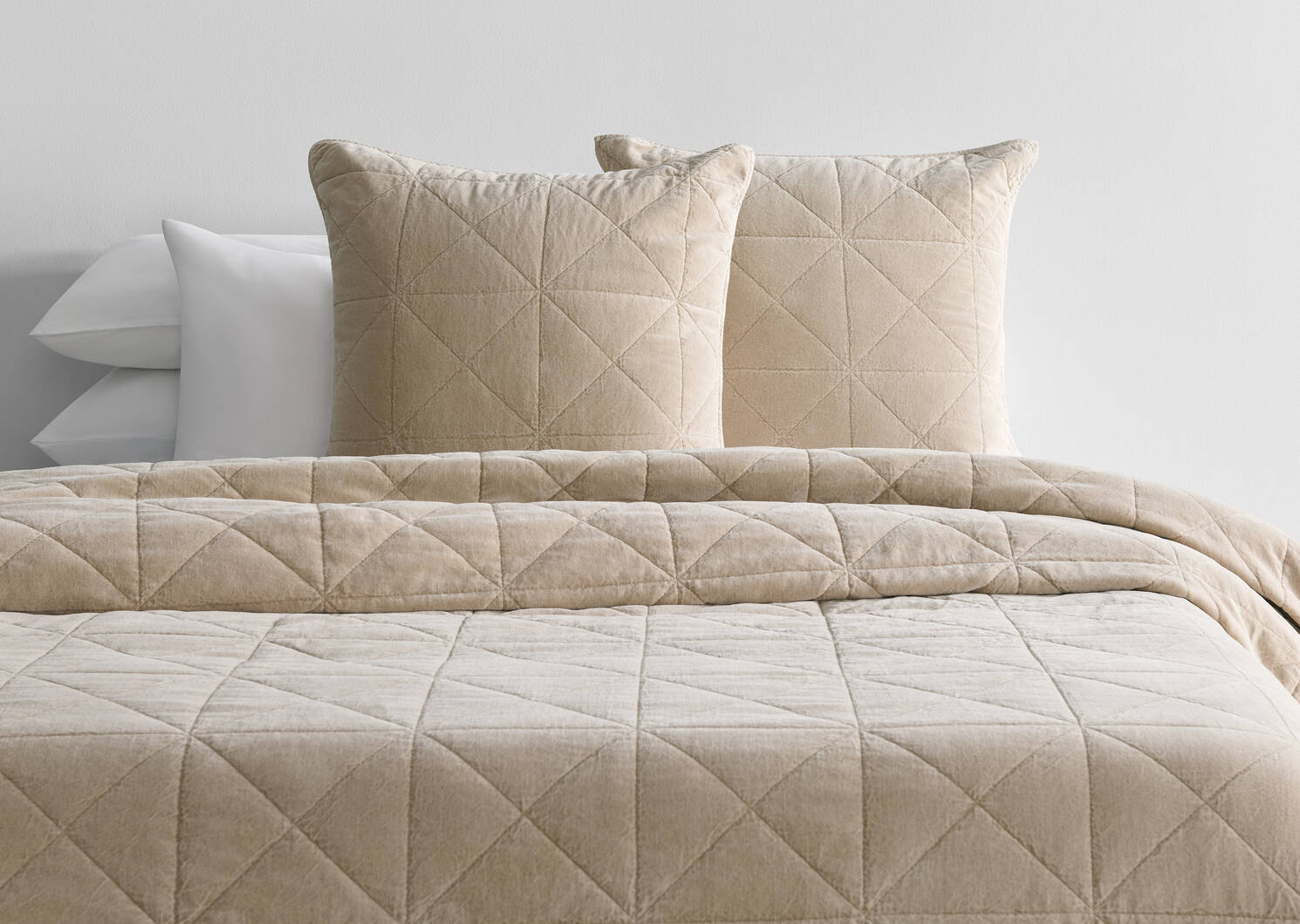 Joye Cotton Velvet Sham 24x24 Latte