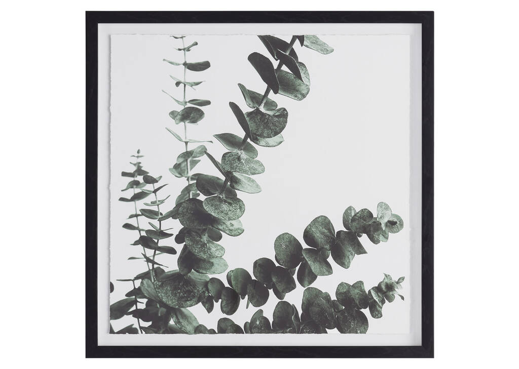 Eucalyptus 2 Wall Art