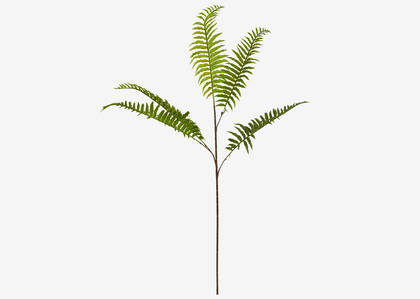 Leni Bamboo Fern Branch