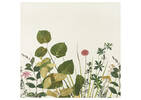 G ens. housse couette cot. flor. Lea mul