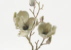 Tige de magnolia courte Gwen grise