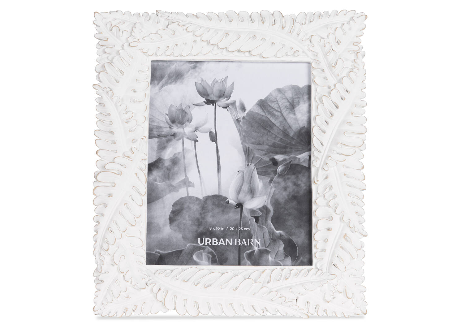 Cadres Crisanta -blanc antique