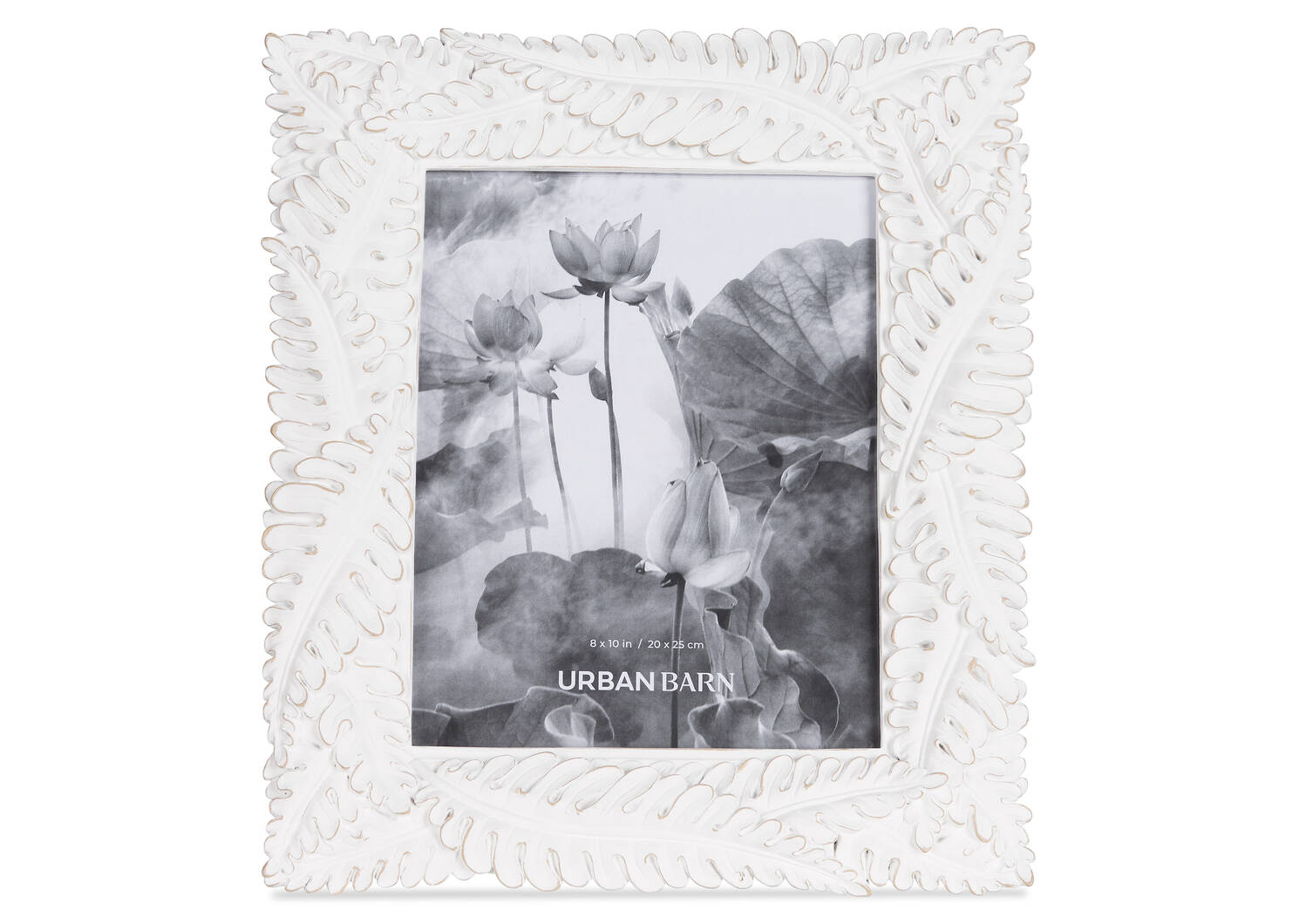 Crisanta Frames -Antique White
