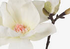 Tige de magnolia Emry ivoire