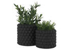 Finlay Planters