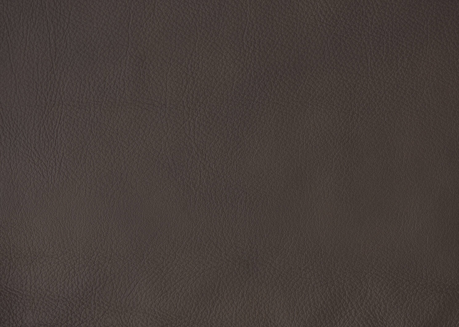 Burke Custom Leather Sectional
