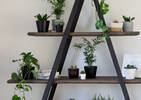 Logan Display Shelf -Weathered Elm