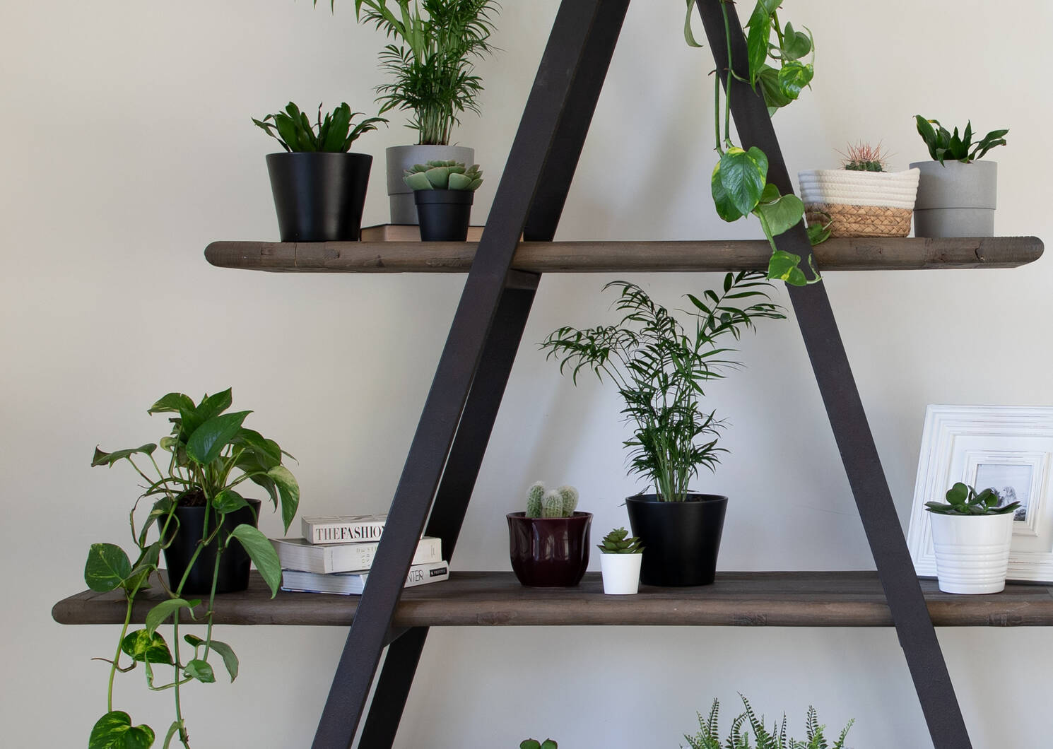 Logan Display Shelf -Weathered Elm