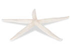 Safa Starfish Decor