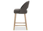 Jerusha Counter Stool -Elte Charcoal