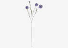 Branche d&rsquo;&eacute;chinops Noa violets