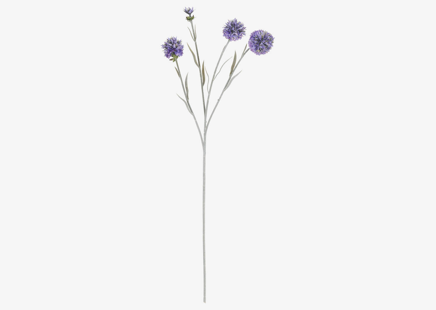 Branche d&rsquo;&eacute;chinops Noa violets