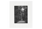 Palmira Frame 6x8