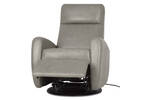 Garneau Custom Power Recliner