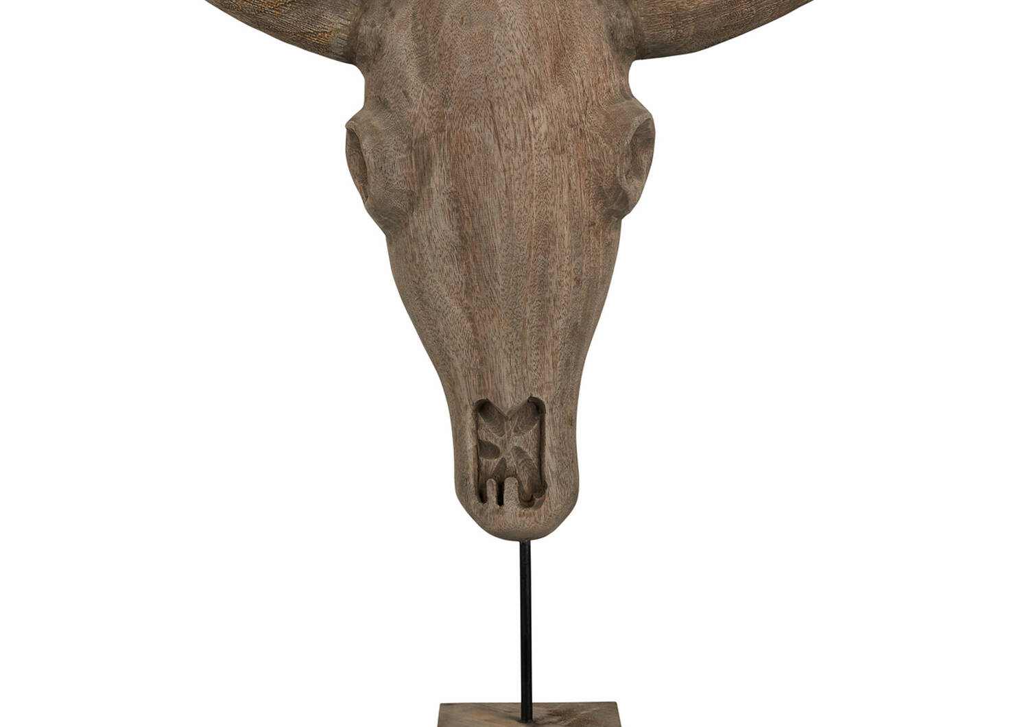 Etan Bull Head Sculpture