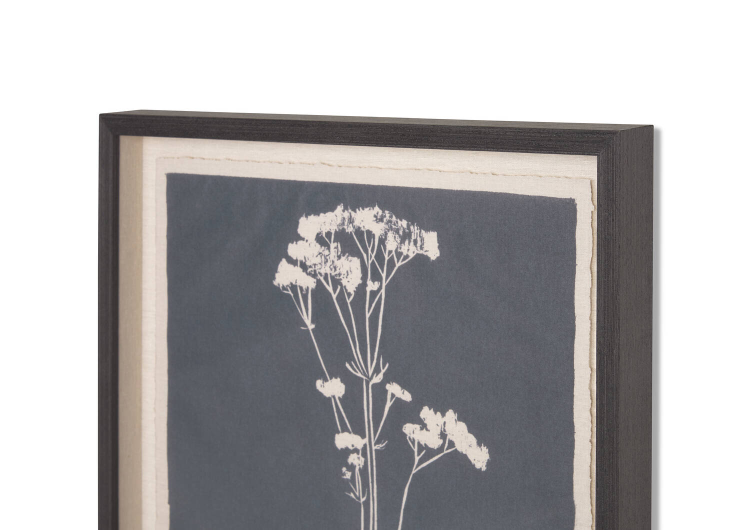 Tableau Common Valerian
