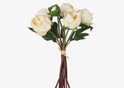 Bouquet de pivoines Liliane ivoire