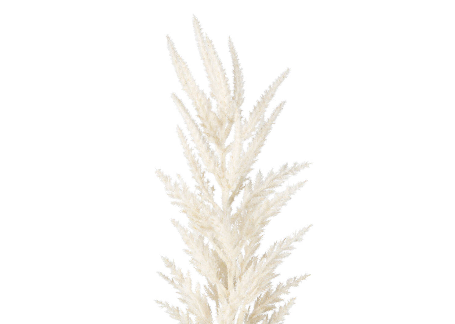 Raul Broom Corn Stem Ivory