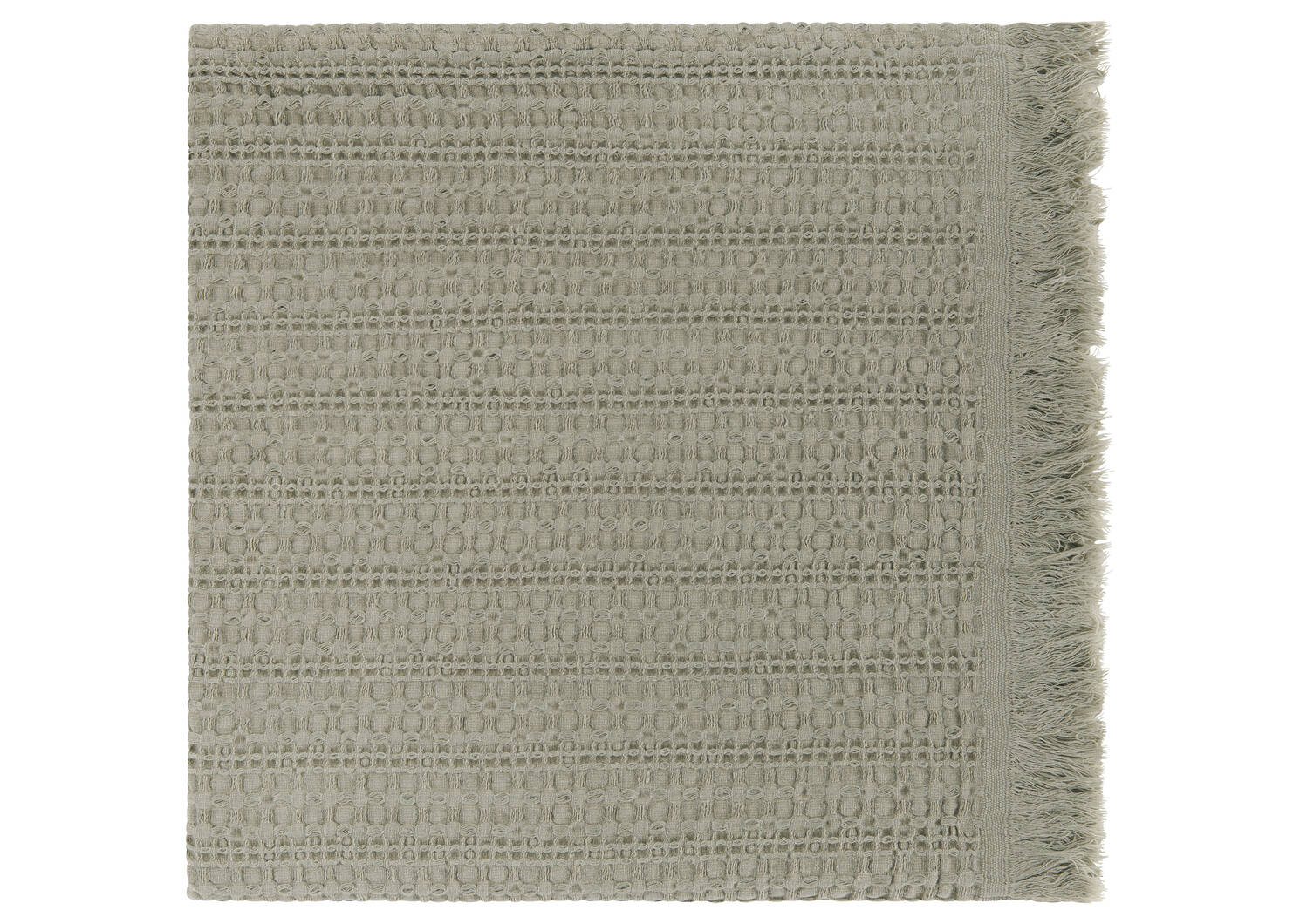 Darwin Waffle Throw Sage