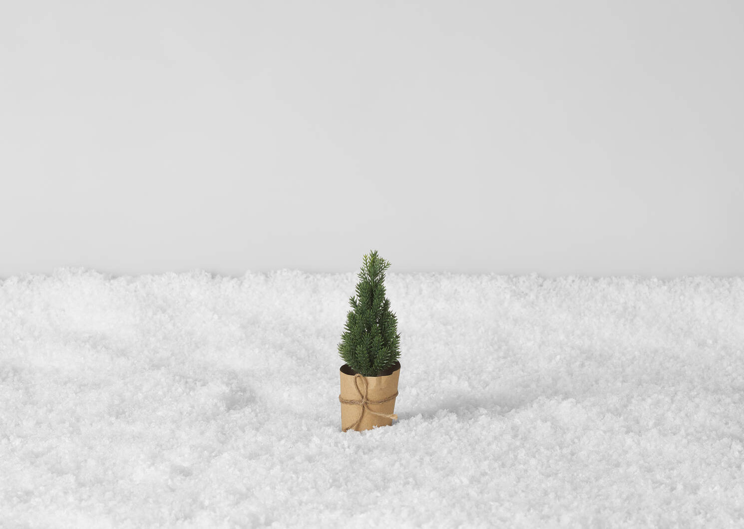 Lane Mini Topiary