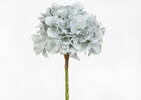 Shae Hydrangea Stem Celestine