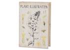 Illustration Book Box Large Ivory