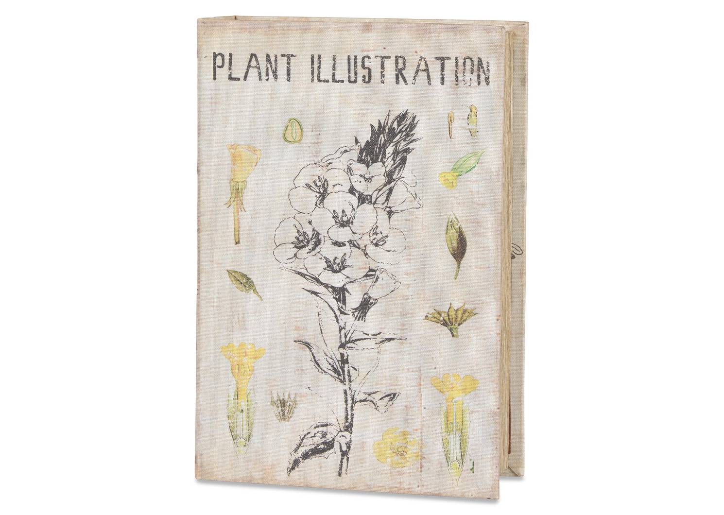 Illustration Book Box Large Ivory