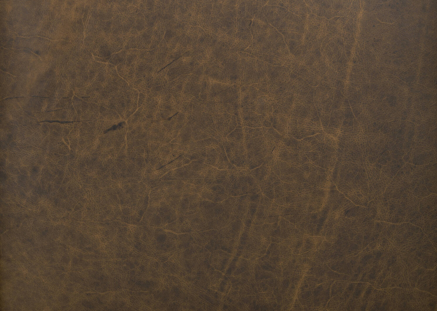 Marcello Leather Sofa -Waco Tobacco