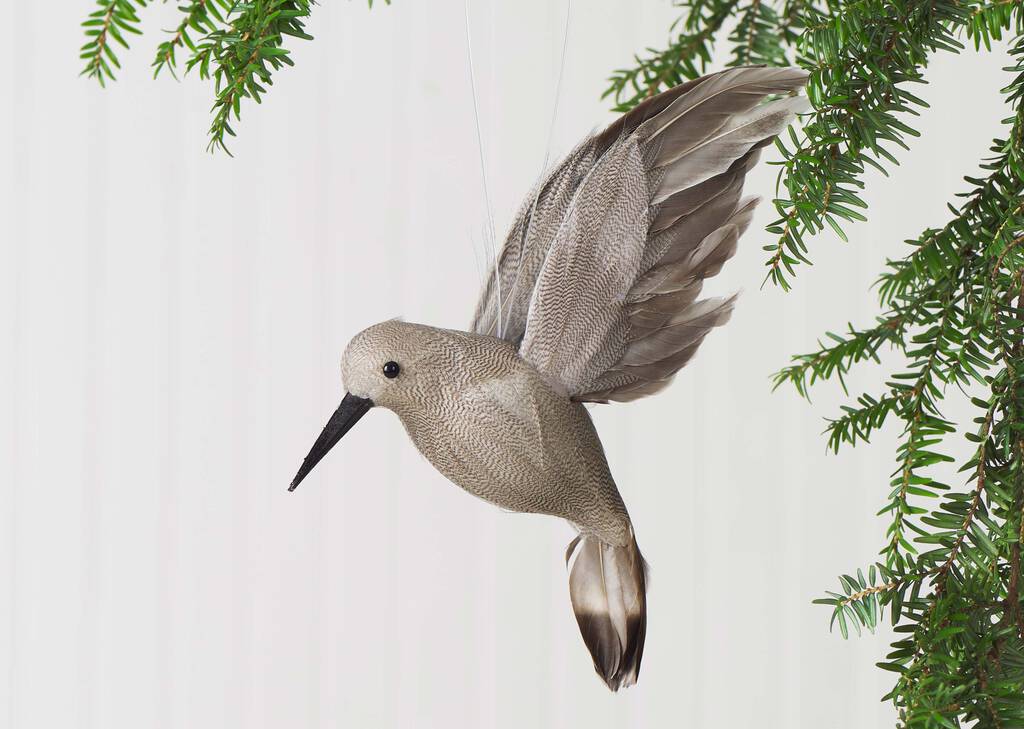 Orn. colibri Alette