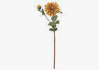 Meg Dahlia Branch Yellow