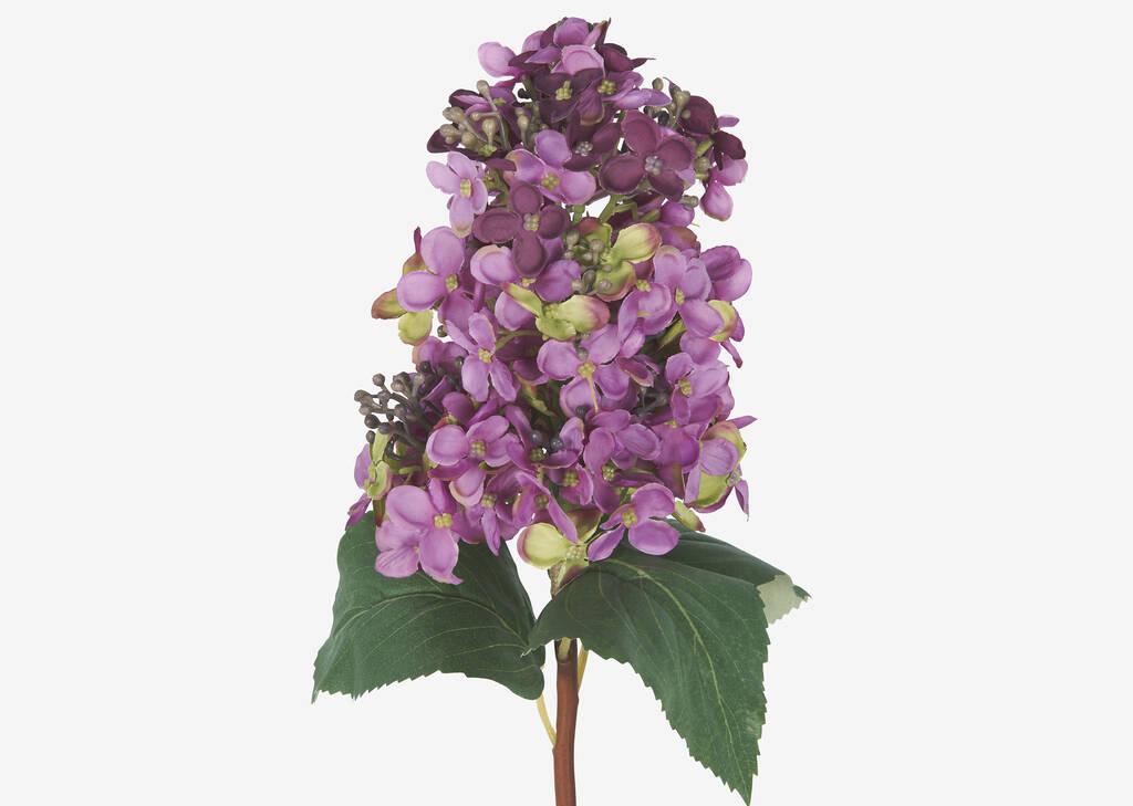 Tige d'hydrang&eacute;e c&ocirc;ne Beth violette