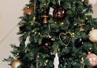 Adams Mushroom Ornament Brown
