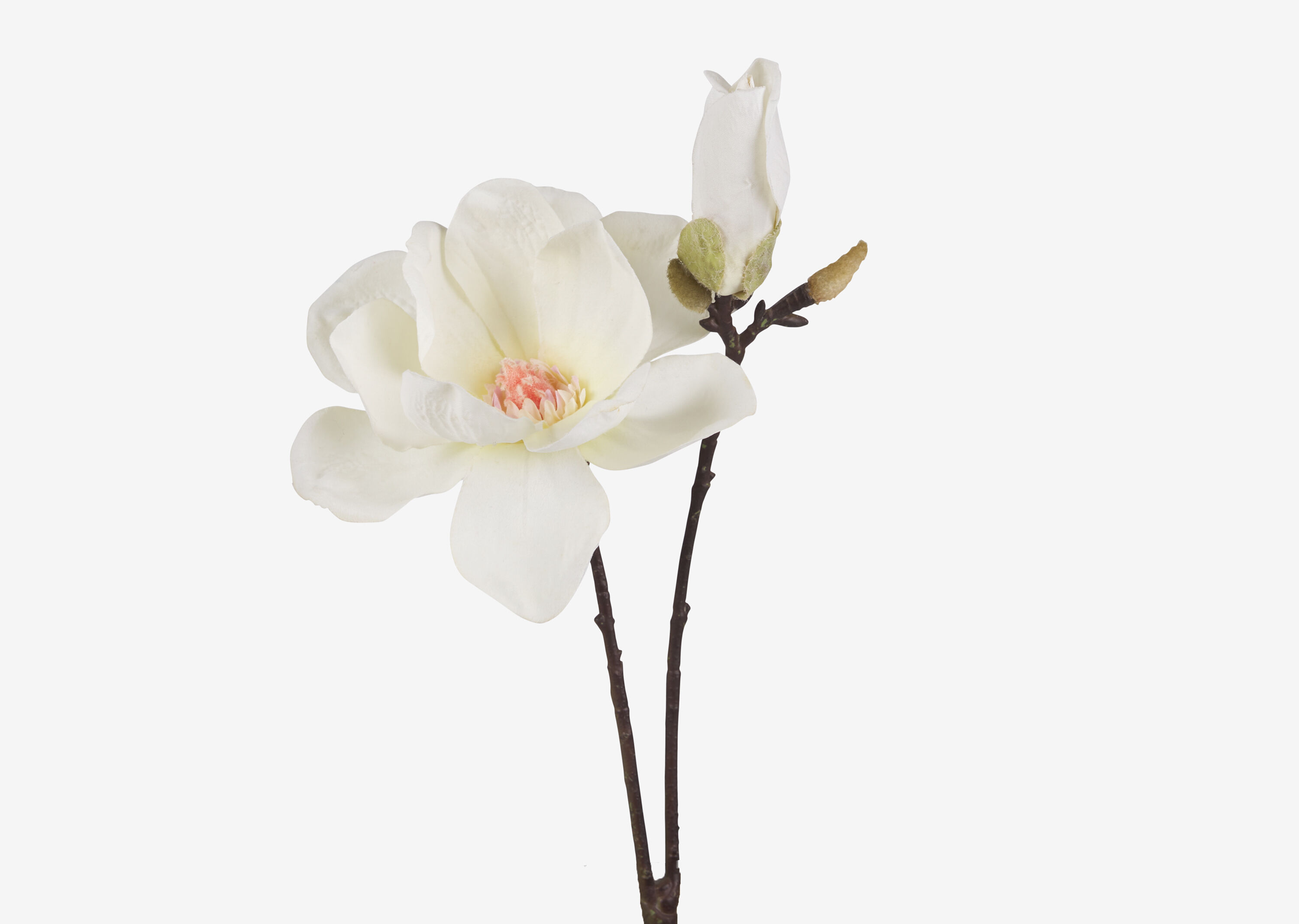 Emry Magnolia Stem Ivory