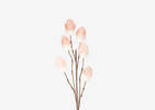 Branche de bourgeons Liya rose ballet