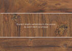 Toledo Coffee Table -Raja Amber