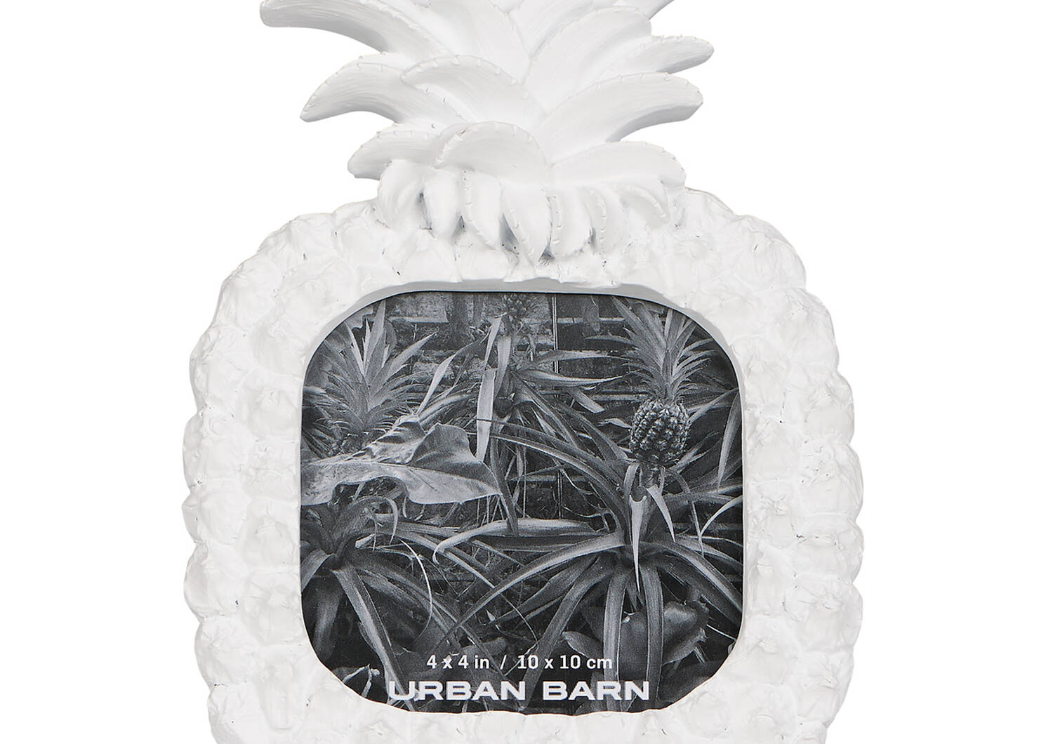 Cadre ananas Lilou 4x4 blanc