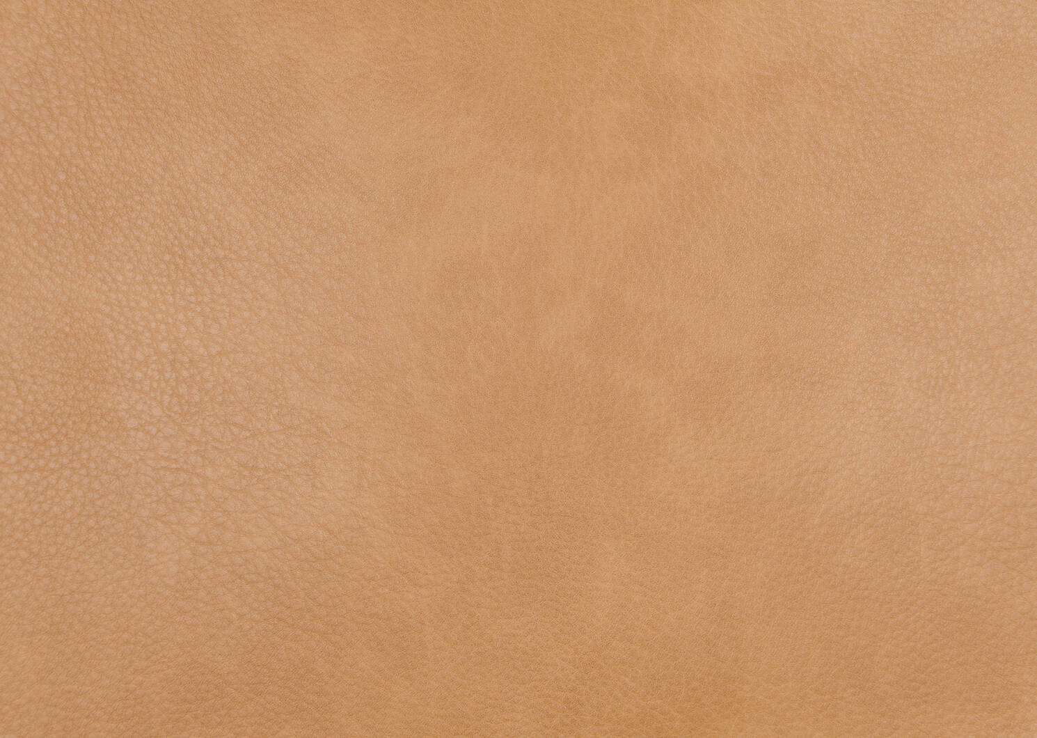 Chaise Callie -Maesa scotch