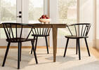 Oxley Dining Chair -Millis Black