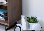 Sena Boxwood Potted