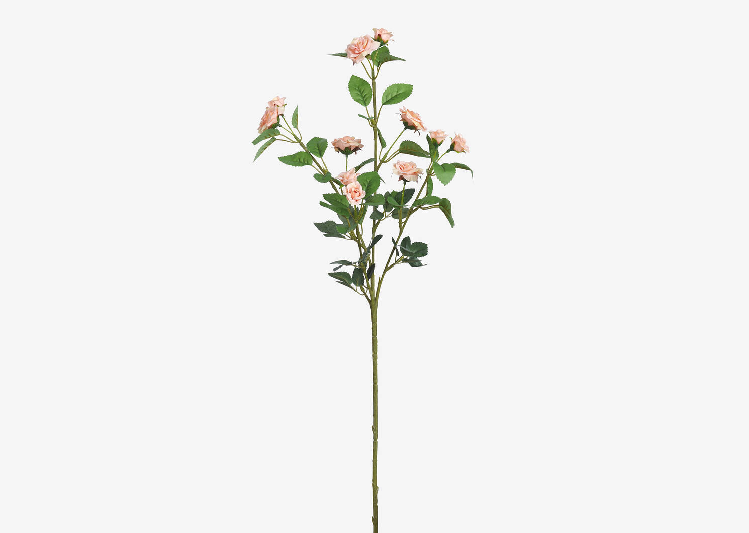 Rosella Spray Rose Stem Coral