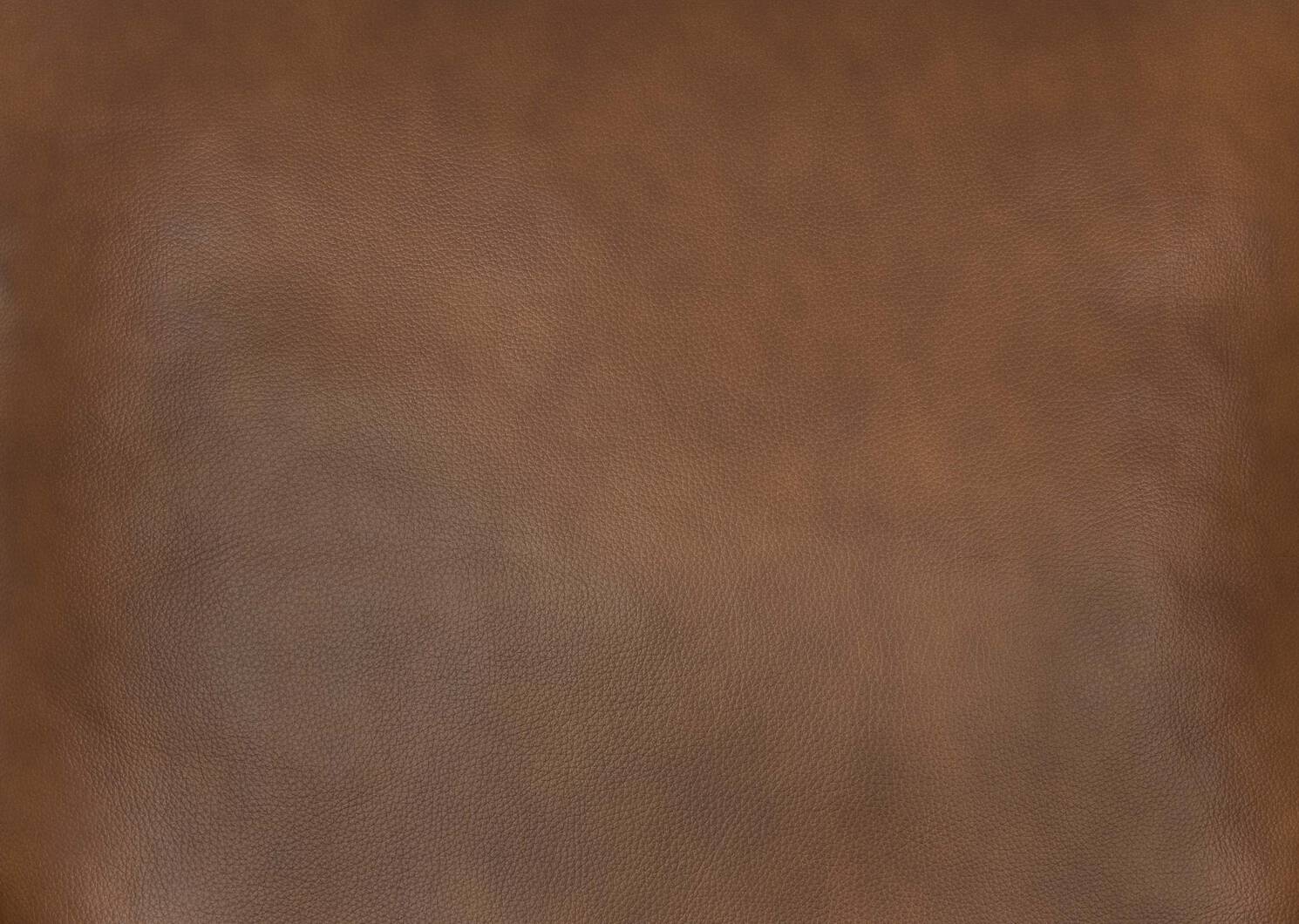Sadie Leather Swivel Armchair -Arlo Rum