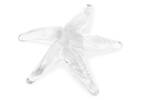 D&eacute;co &eacute;toile de mer Starfish transparente