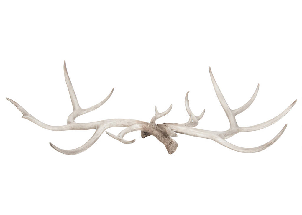 Hartwell Antler Decor Large
