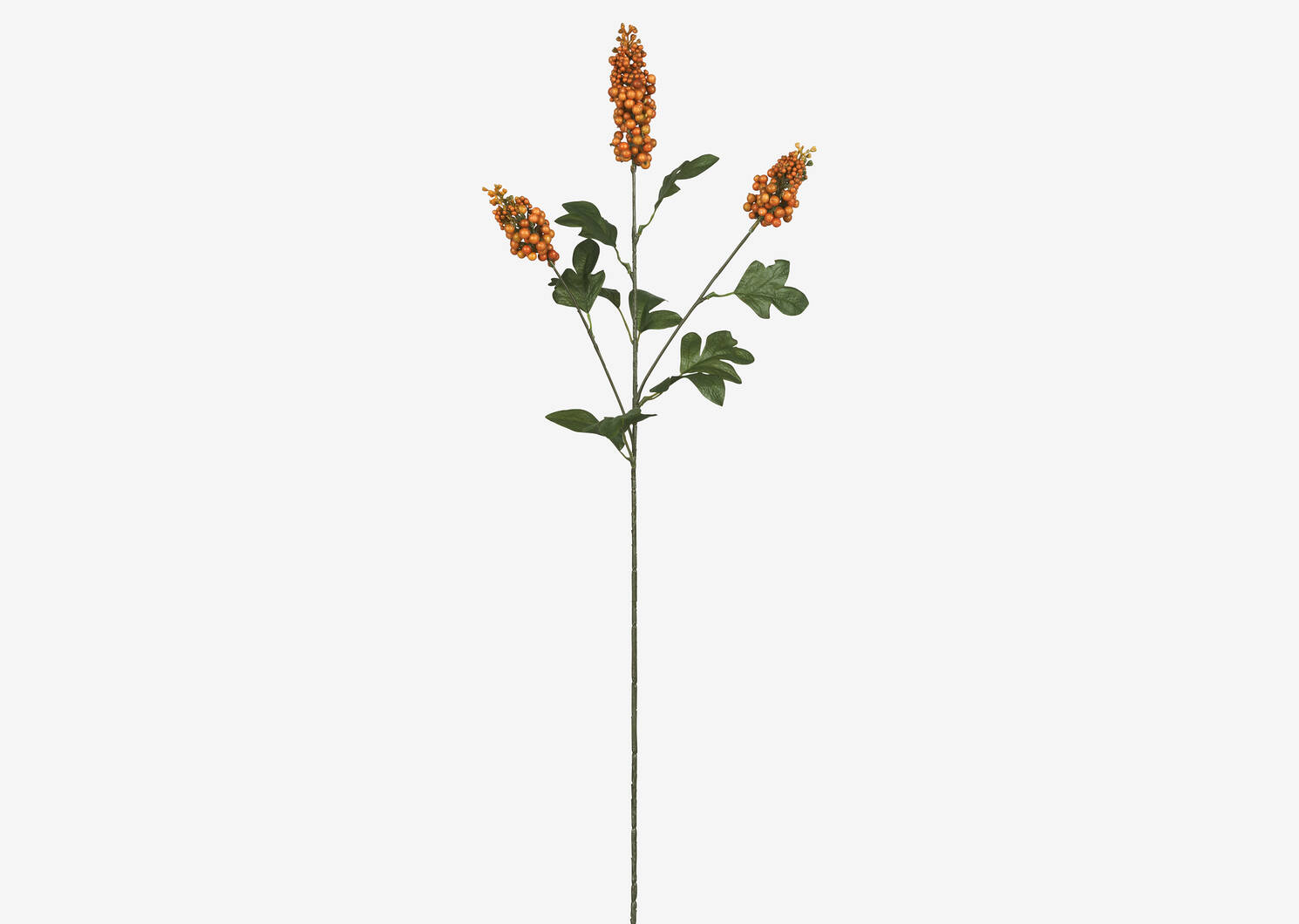 Scarlett Firethorn Stem Orange
