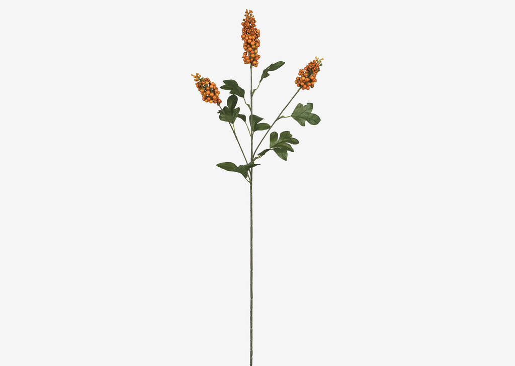 Scarlett Firethorn Stem Orange