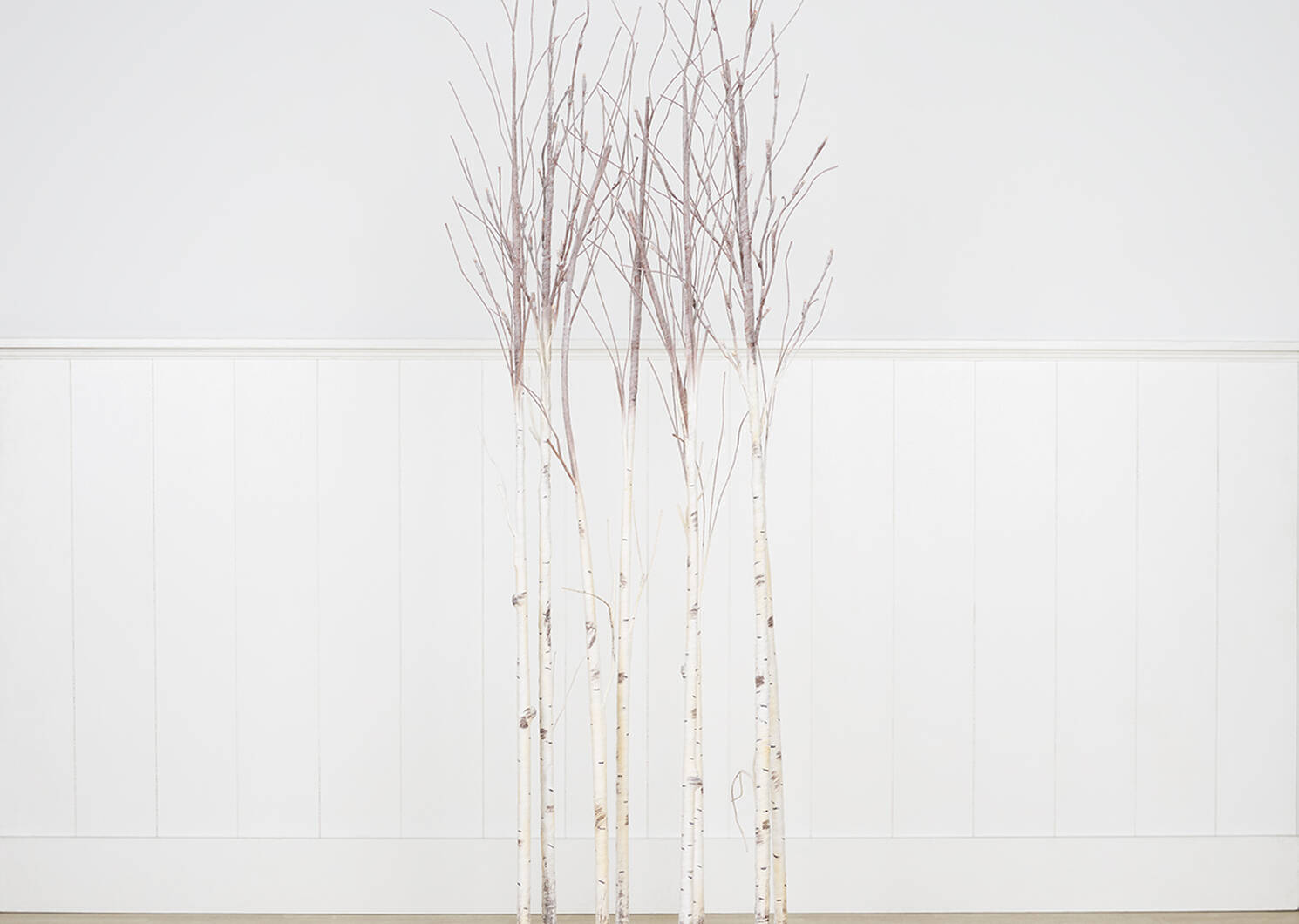 Illume Birch Branches