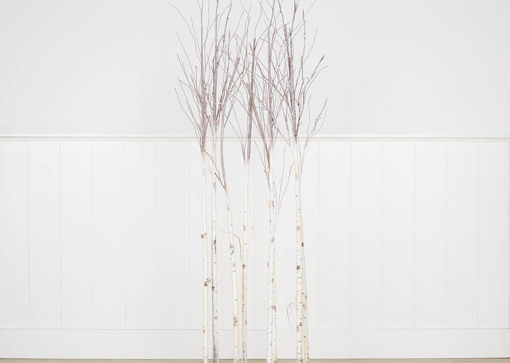 Illume Birch Branches 6ft