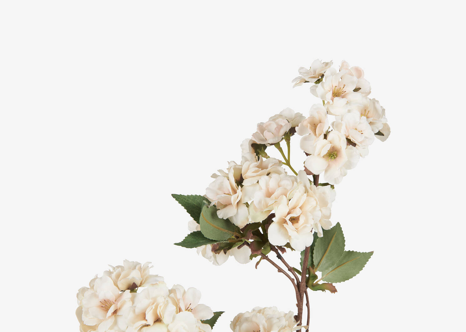 Tige de fleurs de cerisier Kya ivoire