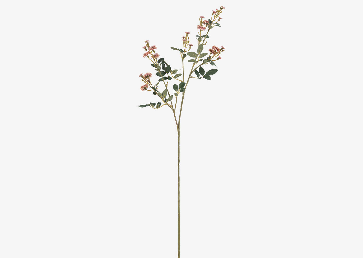 Branche de roses Matilda